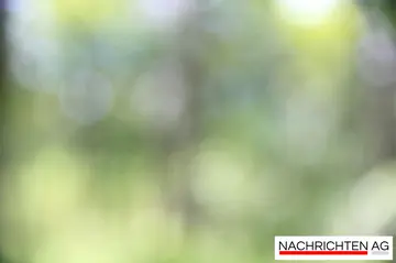 Köln sagt Adieu: Vegan-Sushi-Bar Maki Maki schließt nach fast 10 Jahren!