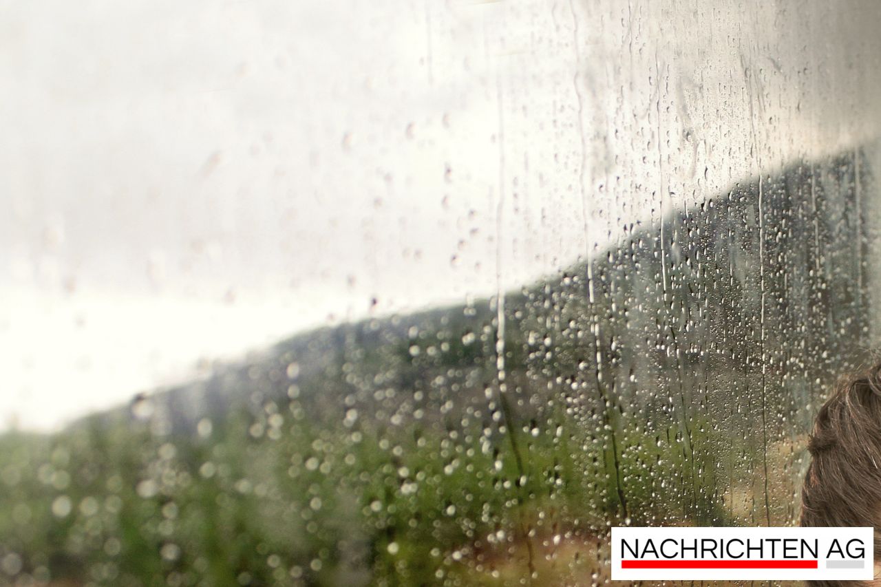 Leiche im Rhein: Ist es einer der vermissten Badeunfall-Opfer?