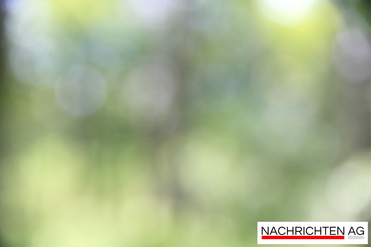 Fest „Musik im Park“: Kölsch, Klänge und Kinderfreuden in Fischenich!