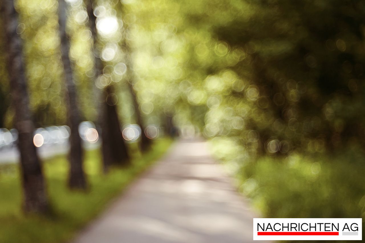 Schatzsuche im Ruhrgebiet: Flohmärkte am Wochenende entdecken!